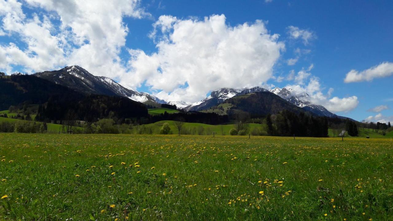 Bio-Bauernhof Bachangerhof Kössen Екстериор снимка
