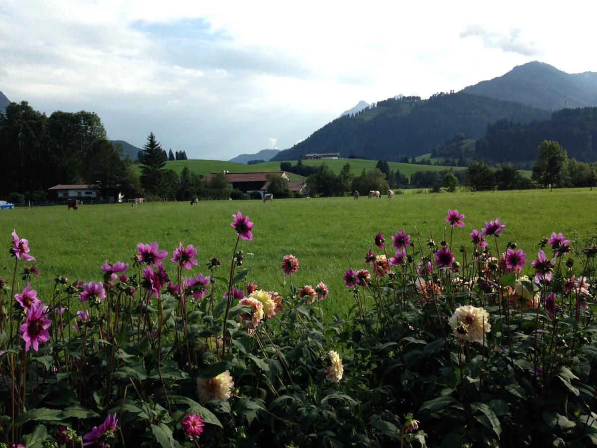 Bio-Bauernhof Bachangerhof Kössen Екстериор снимка