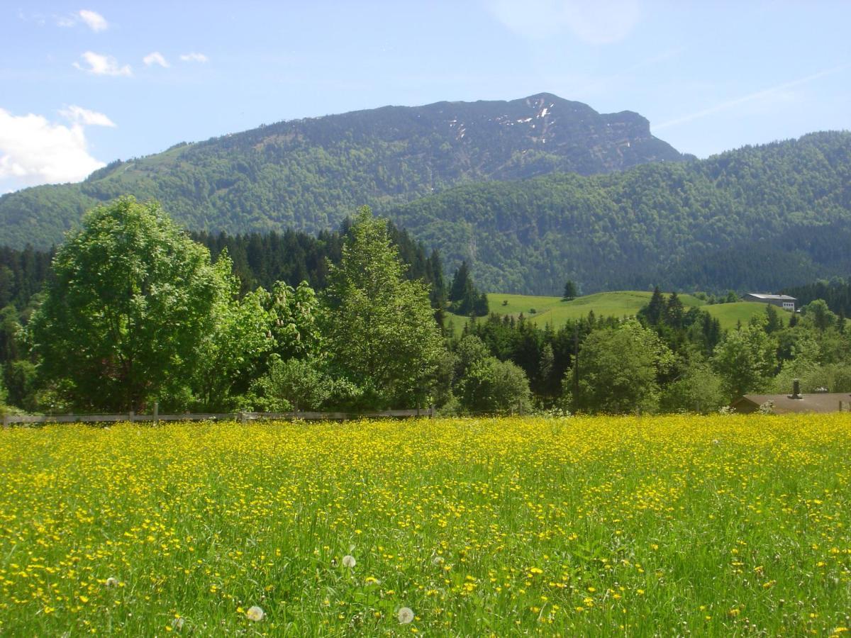 Bio-Bauernhof Bachangerhof Kössen Екстериор снимка