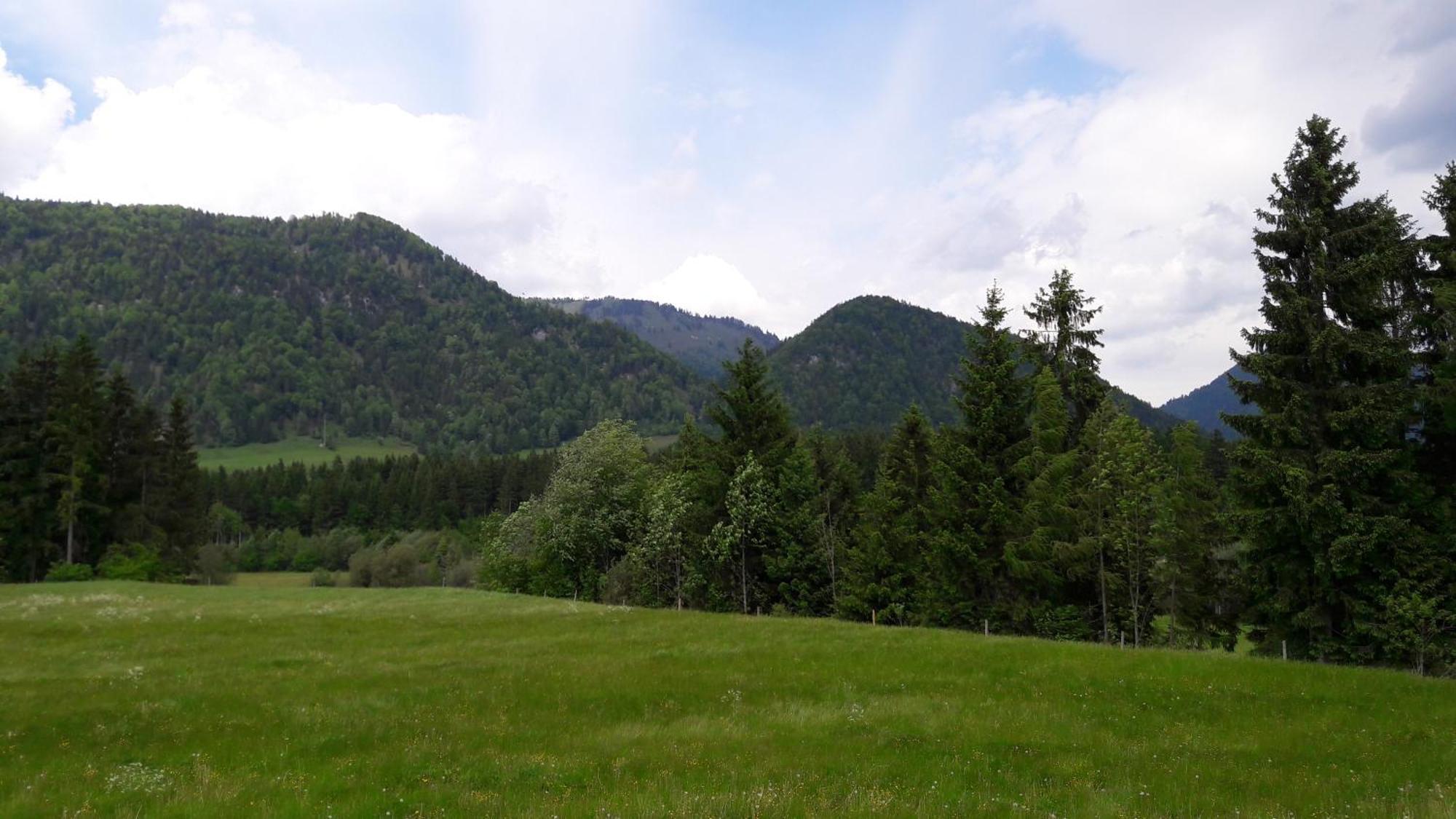 Bio-Bauernhof Bachangerhof Kössen Екстериор снимка
